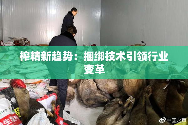 榨精新趋势：捆绑技术引领行业变革