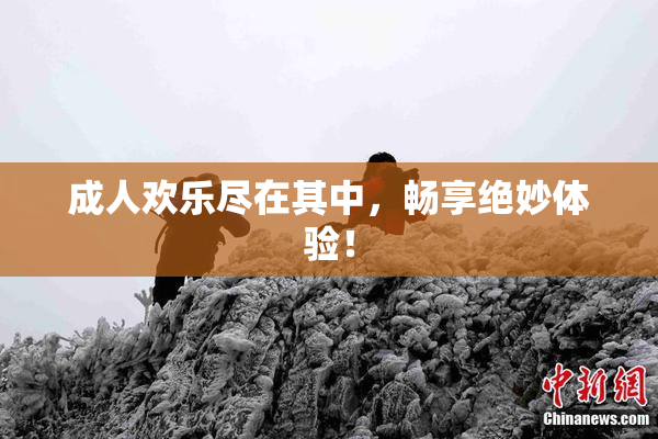 成人欢乐尽在其中，畅享绝妙体验！