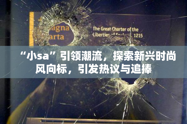 “小sa”引领潮流，探索新兴时尚风向标，引发热议与追捧
