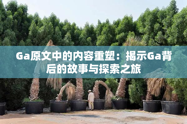 Ga原文中的内容重塑：揭示Ga背后的故事与探索之旅