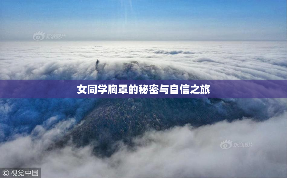 女同学胸罩的秘密与自信之旅