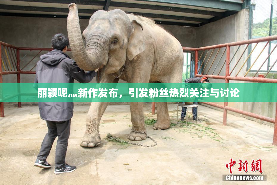 丽颖嗯灬新作发布，引发粉丝热烈关注与讨论