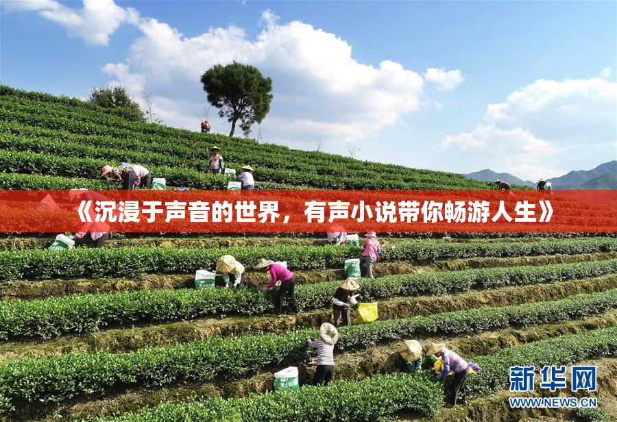 《沉浸于声音的世界，有声小说带你畅游人生》