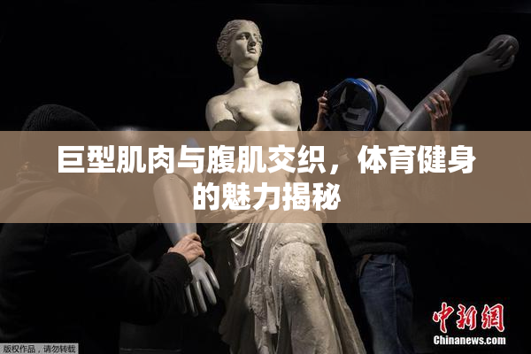 巨型肌肉与腹肌交织，体育健身的魅力揭秘