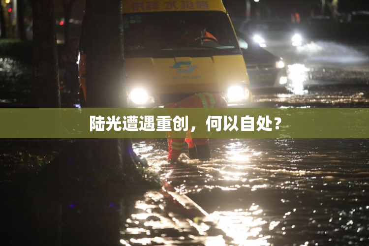 陆光遭遇重创，何以自处？
