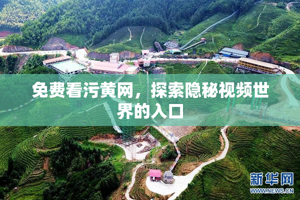 免费看污黄网，探索隐秘视频世界的入口
