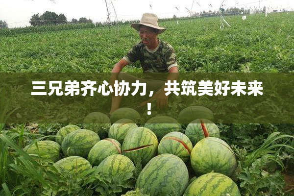 三兄弟齐心协力，共筑美好未来！