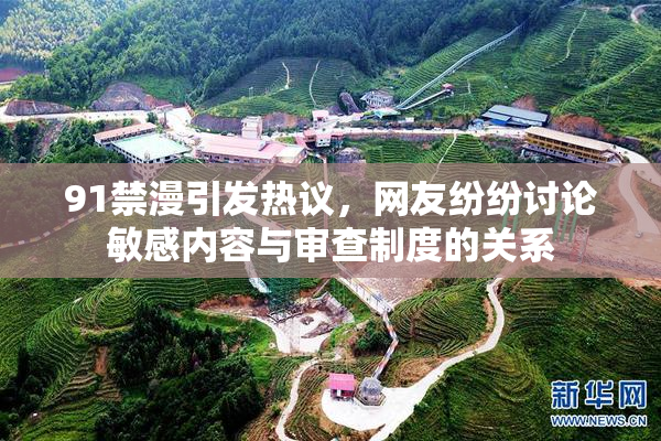 91禁漫引发热议，网友纷纷讨论敏感内容与审查制度的关系
