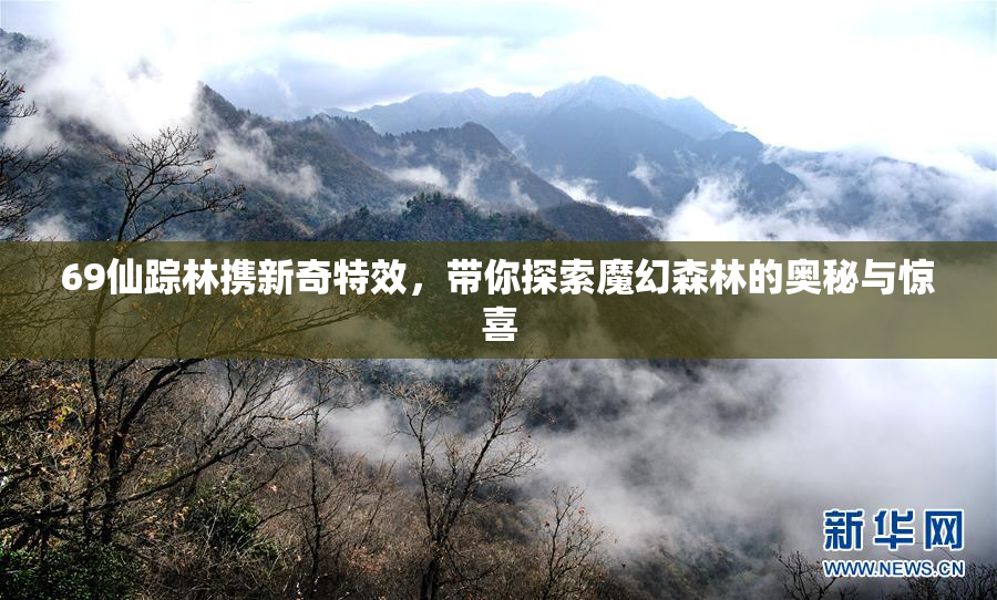 69仙踪林携新奇特效，带你探索魔幻森林的奥秘与惊喜