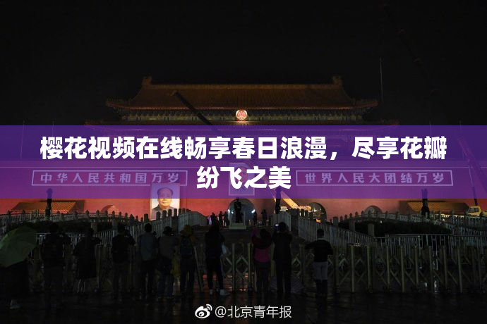 樱花视频在线畅享春日浪漫，尽享花瓣纷飞之美
