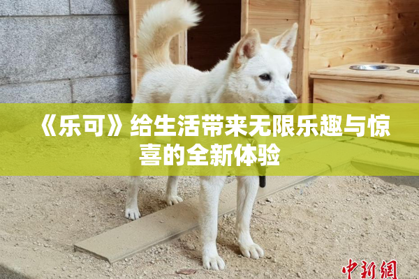 《乐可》给生活带来无限乐趣与惊喜的全新体验