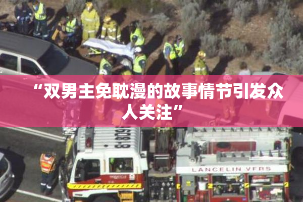 “双男主免耽漫的故事情节引发众人关注”