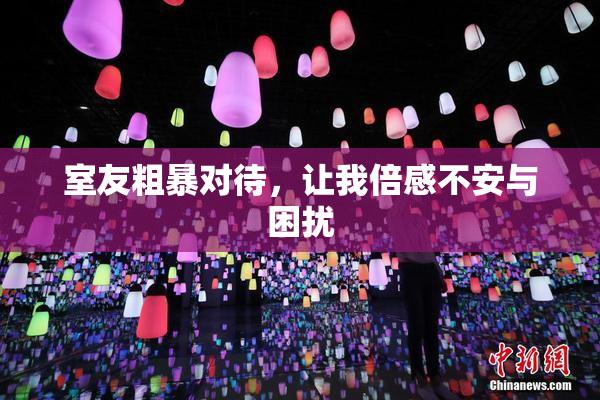 室友粗暴对待，让我倍感不安与困扰