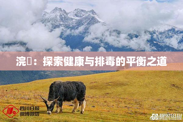 浣腸：探索健康与排毒的平衡之道
