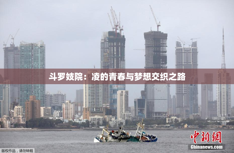 斗罗妓院：凌的青春与梦想交织之路