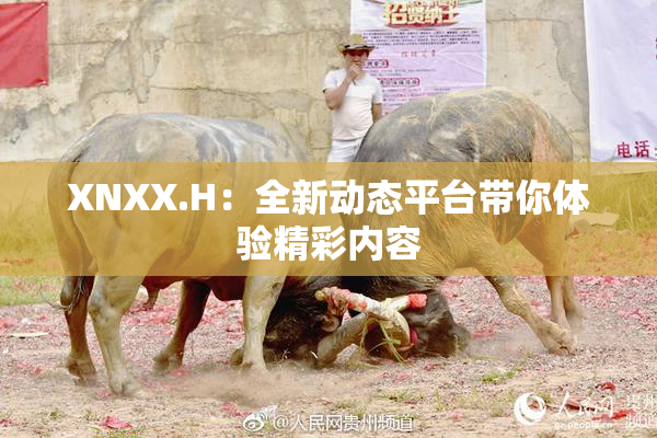 XNXX.H：全新动态平台带你体验精彩内容