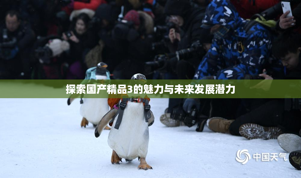 探索国产精品3的魅力与未来发展潜力