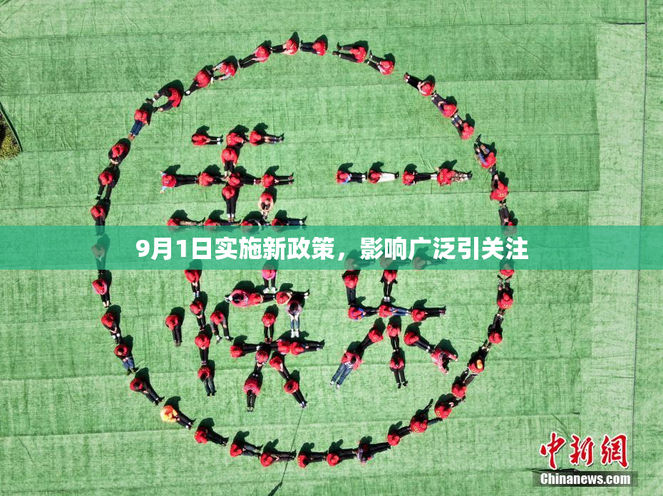9月1日实施新政策，影响广泛引关注