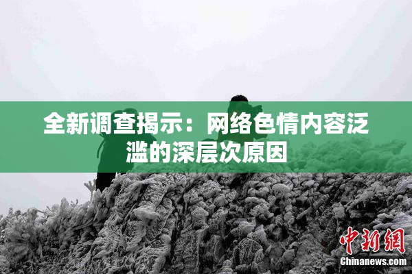 全新调查揭示：网络色情内容泛滥的深层次原因