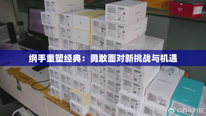 纲手重塑经典：勇敢面对新挑战与机遇