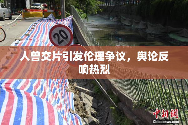 人兽交片引发伦理争议，舆论反响热烈
