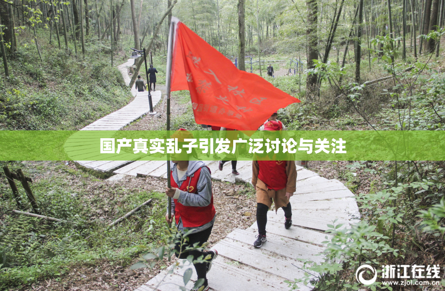 国产真实乱子引发广泛讨论与关注