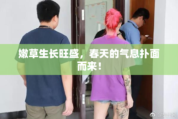 嫩草生长旺盛，春天的气息扑面而来！