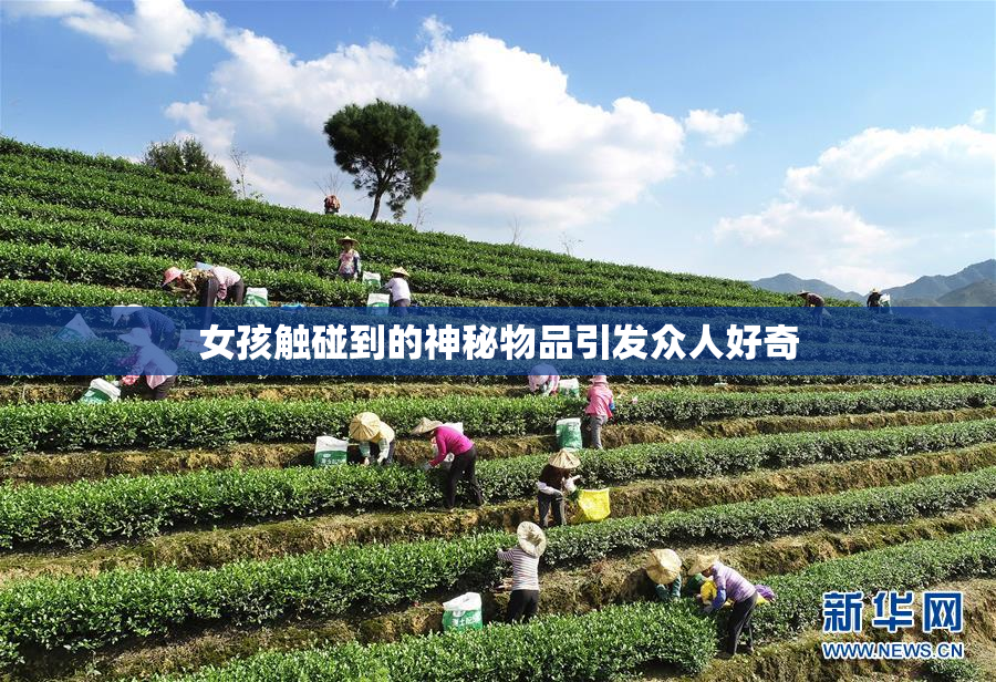 女孩触碰到的神秘物品引发众人好奇