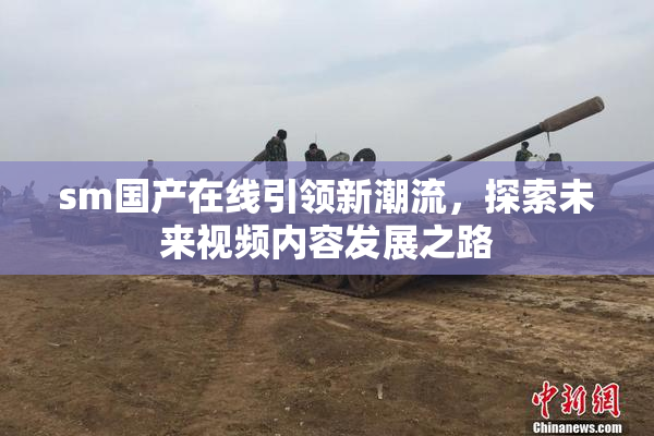 sm国产在线引领新潮流，探索未来视频内容发展之路
