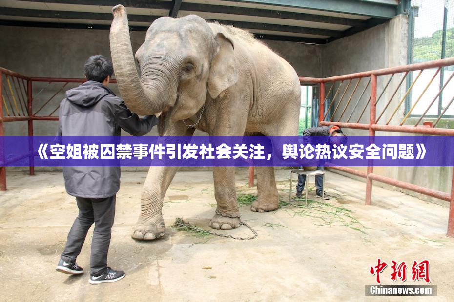 《空姐被囚禁事件引发社会关注，舆论热议安全问题》
