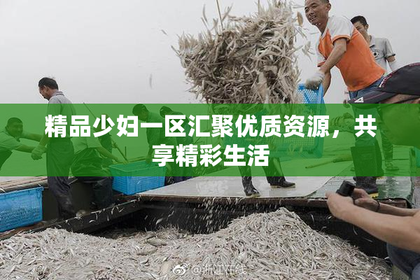 精品少妇一区汇聚优质资源，共享精彩生活