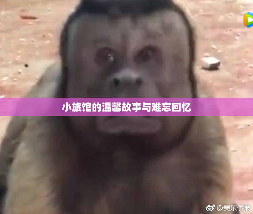 小旅馆的温馨故事与难忘回忆