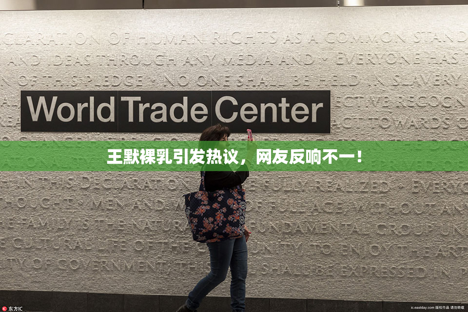王默裸乳引发热议，网友反响不一！