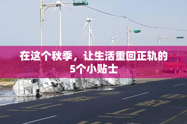 在这个秋季，让生活重回正轨的5个小贴士