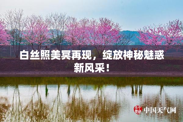 白丝照美冥再现，绽放神秘魅惑新风采！