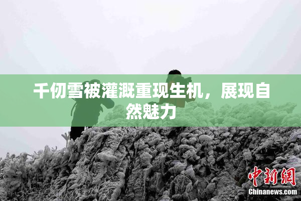 千仞雪被灌溉重现生机，展现自然魅力