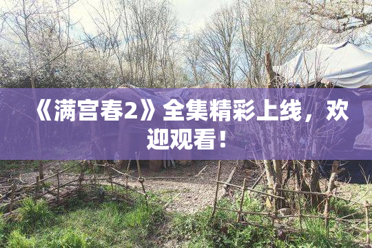《满宫春2》全集精彩上线，欢迎观看！