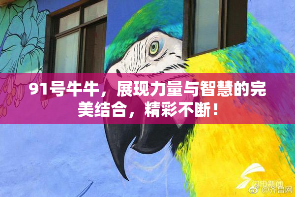 91号牛牛，展现力量与智慧的完美结合，精彩不断！