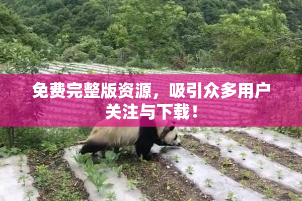 免费完整版资源，吸引众多用户关注与下载！