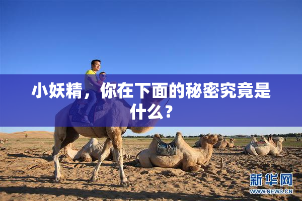 小妖精，你在下面的秘密究竟是什么？