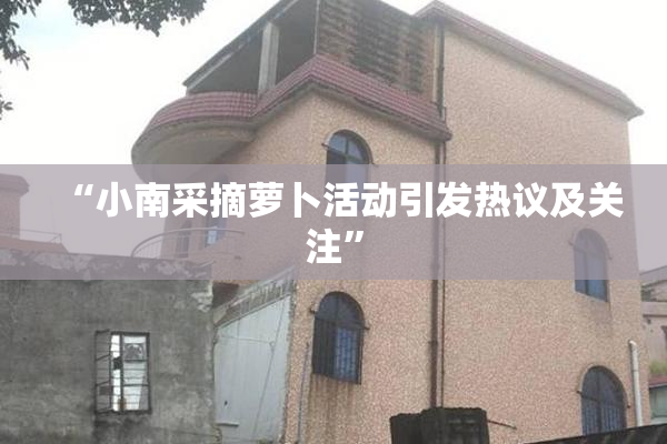 “小南采摘萝卜活动引发热议及关注”