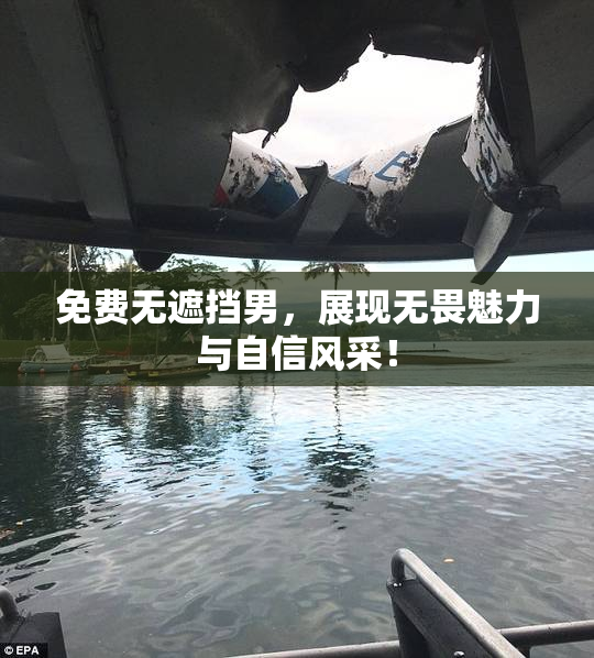 免费无遮挡男，展现无畏魅力与自信风采！