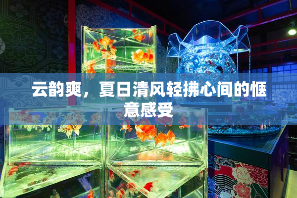 云韵爽，夏日清风轻拂心间的惬意感受