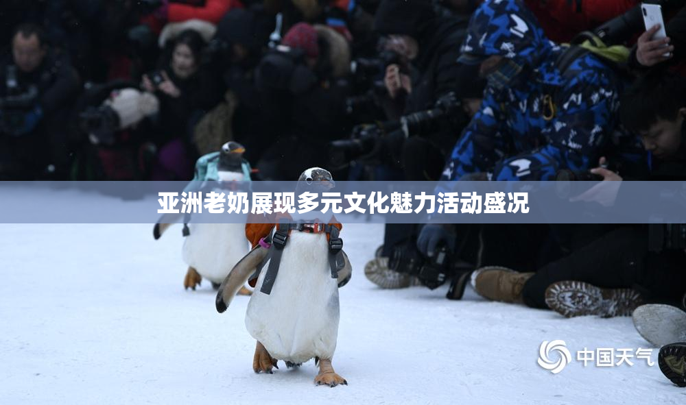 亚洲老奶展现多元文化魅力活动盛况