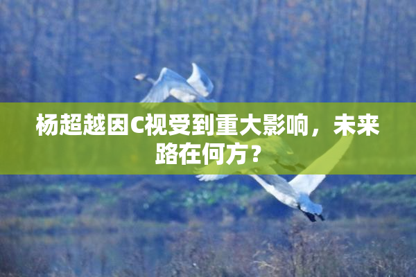 杨超越因C视受到重大影响，未来路在何方？