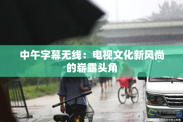 中午字幕无线：电视文化新风尚的崭露头角