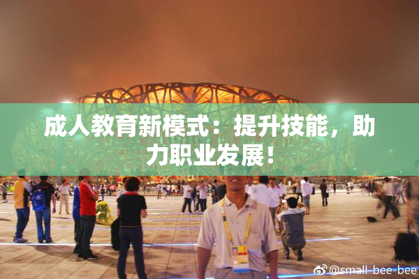 成人教育新模式：提升技能，助力职业发展！