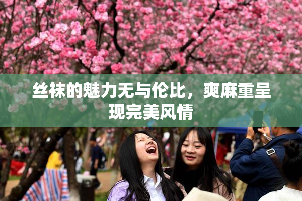 丝袜的魅力无与伦比，爽麻重呈现完美风情