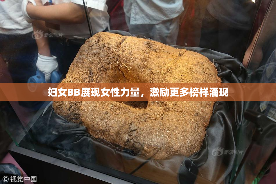 妇女BB展现女性力量，激励更多榜样涌现