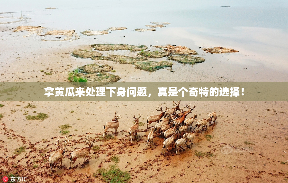 拿黄瓜来处理下身问题，真是个奇特的选择！